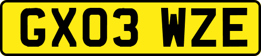 GX03WZE
