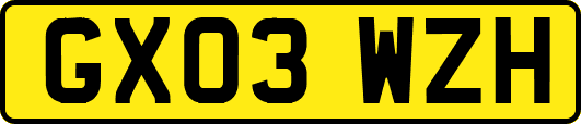 GX03WZH