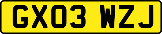 GX03WZJ