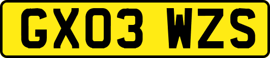 GX03WZS