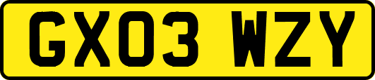 GX03WZY