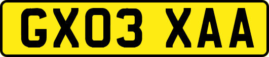 GX03XAA
