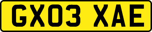 GX03XAE