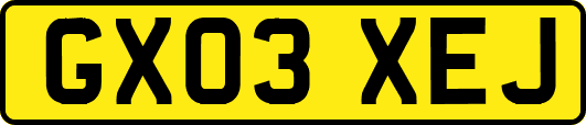 GX03XEJ