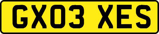 GX03XES