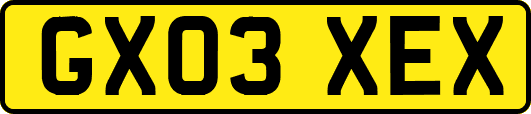 GX03XEX