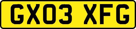 GX03XFG