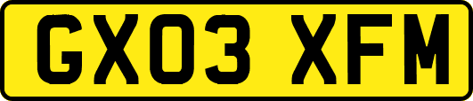 GX03XFM