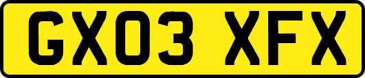 GX03XFX