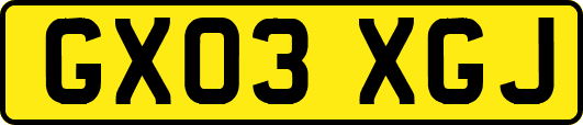 GX03XGJ