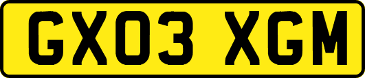 GX03XGM