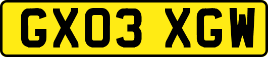 GX03XGW