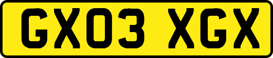 GX03XGX