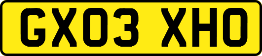 GX03XHO