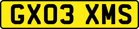 GX03XMS