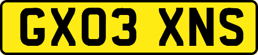 GX03XNS