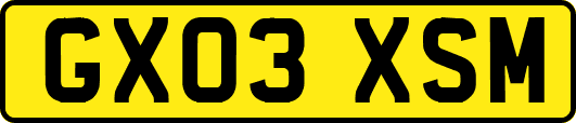 GX03XSM