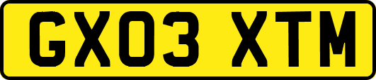 GX03XTM