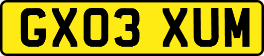 GX03XUM
