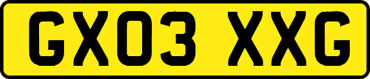 GX03XXG