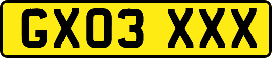 GX03XXX