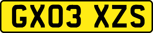 GX03XZS