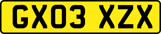 GX03XZX