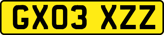 GX03XZZ