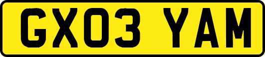GX03YAM