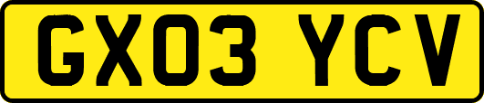 GX03YCV