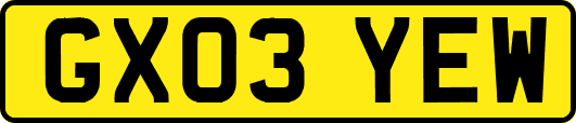 GX03YEW