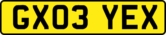 GX03YEX
