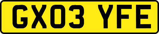 GX03YFE