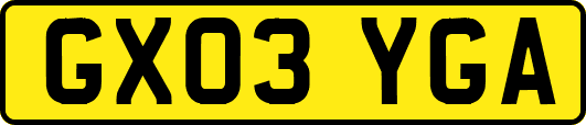 GX03YGA