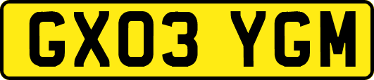 GX03YGM