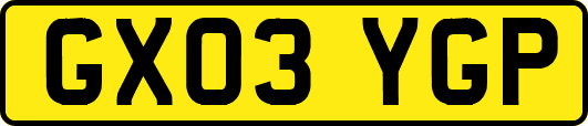 GX03YGP