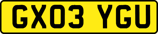 GX03YGU