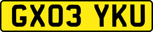 GX03YKU