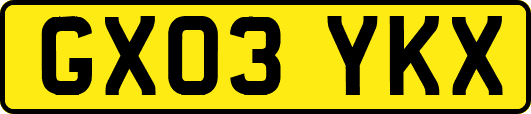 GX03YKX
