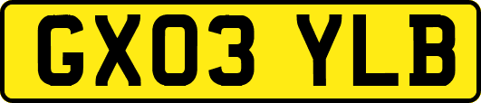 GX03YLB