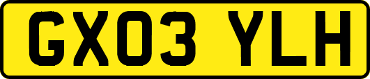 GX03YLH