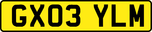 GX03YLM
