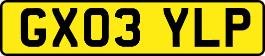 GX03YLP