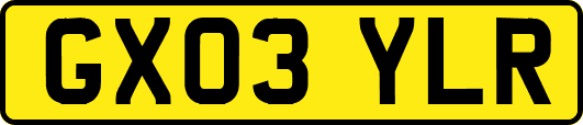 GX03YLR