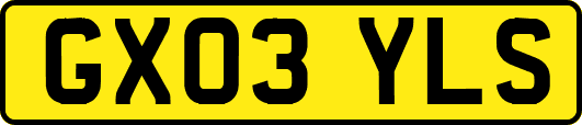 GX03YLS