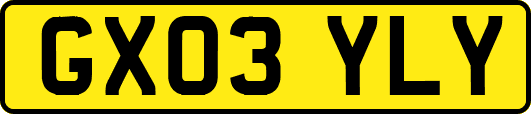 GX03YLY