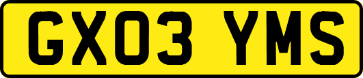 GX03YMS