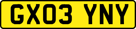 GX03YNY