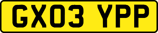 GX03YPP