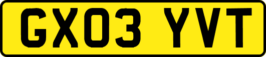 GX03YVT